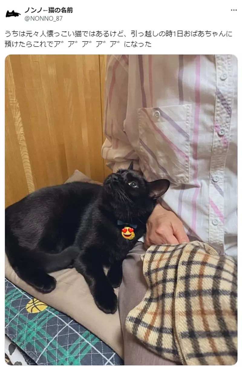 圖片11 圖片11