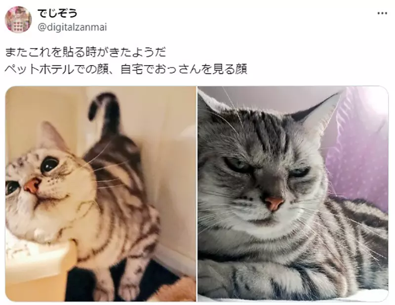 圖片12 圖片12
