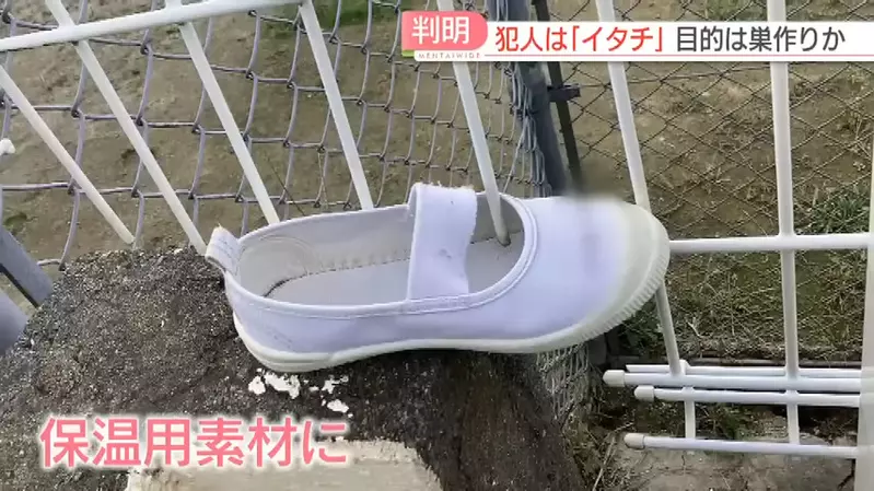 圖片8 圖片8