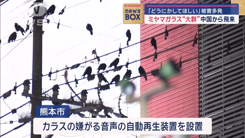 圖片11 圖片11