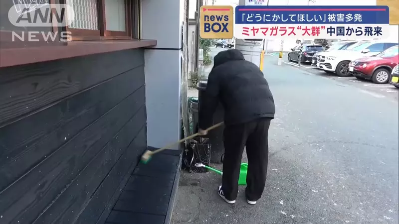圖片8 圖片8