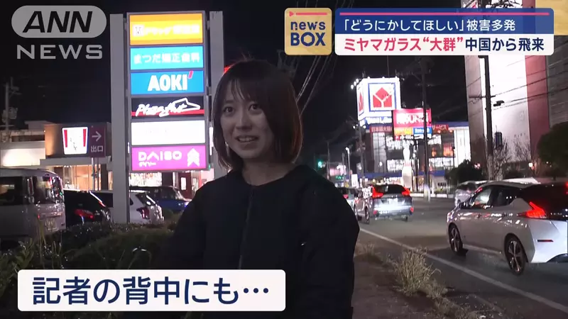 圖片6 圖片6