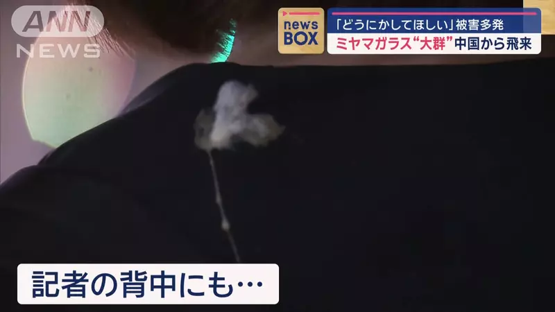 圖片7 圖片7