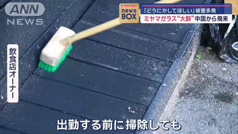 圖片9 圖片9