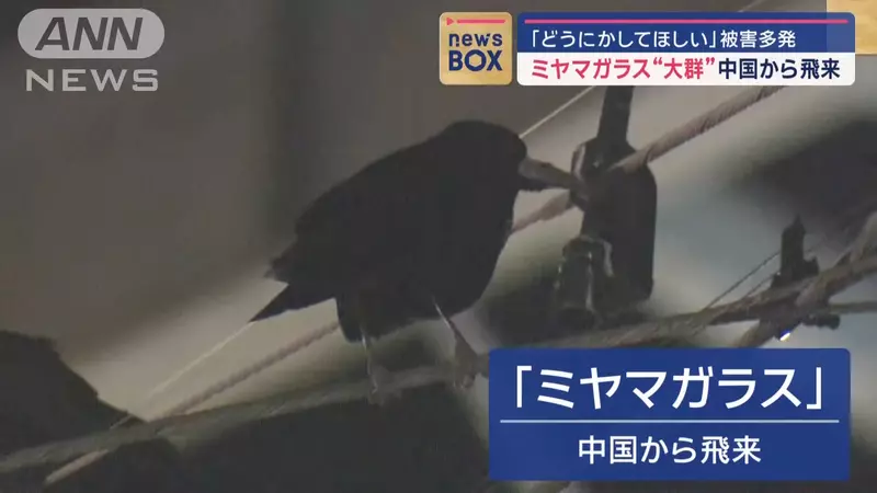 圖片4 圖片4