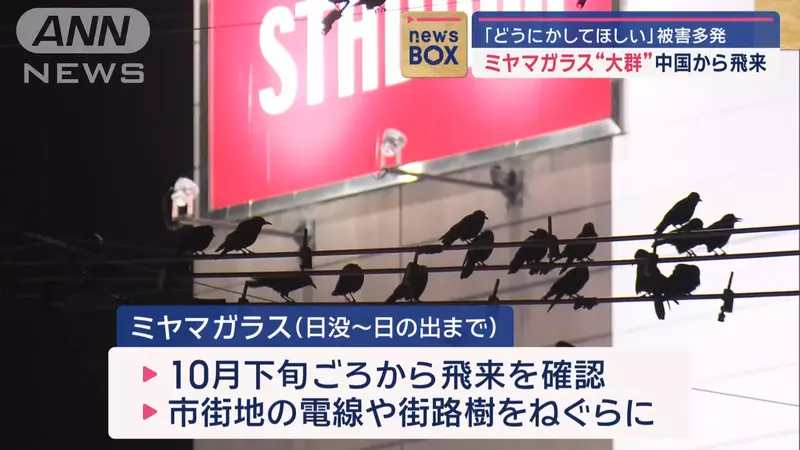 圖片5 圖片5