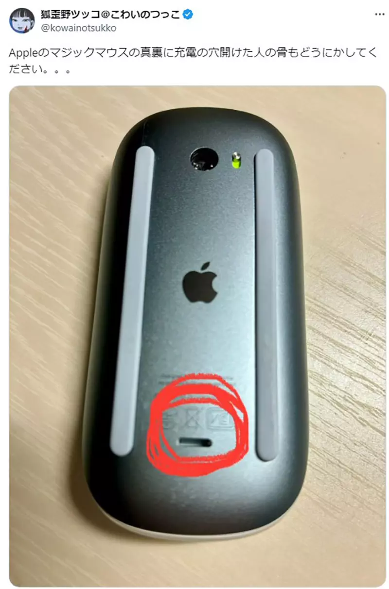 圖片12 圖片12