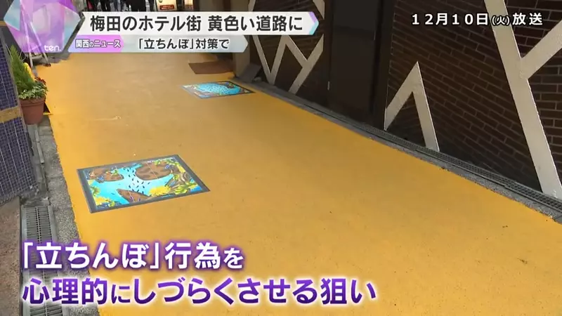 圖片11 圖片11