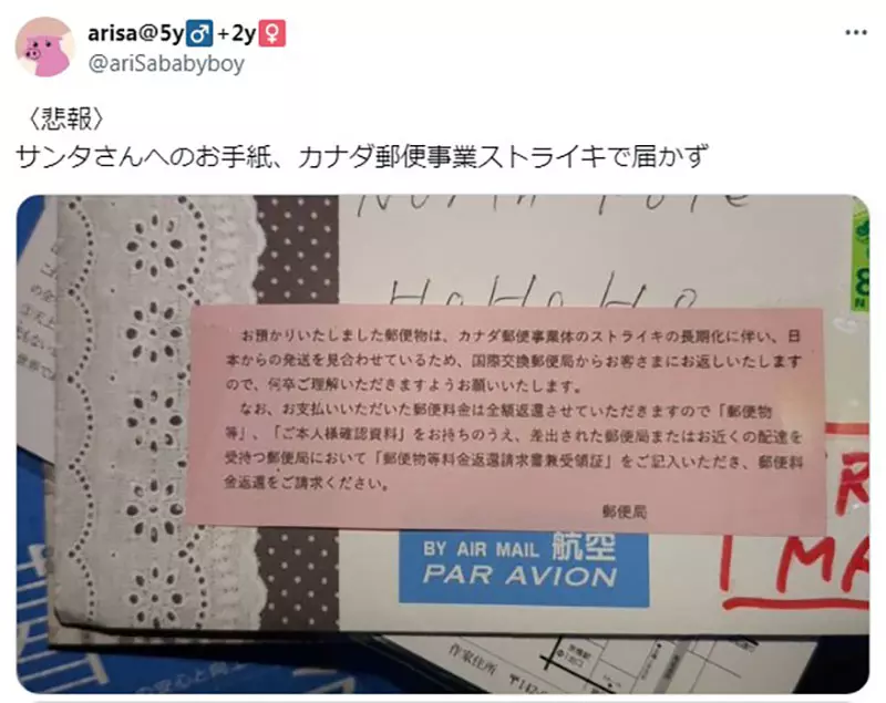 圖片5 圖片5