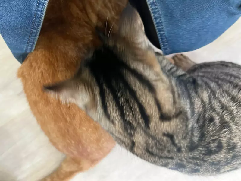 圖片5 圖片5