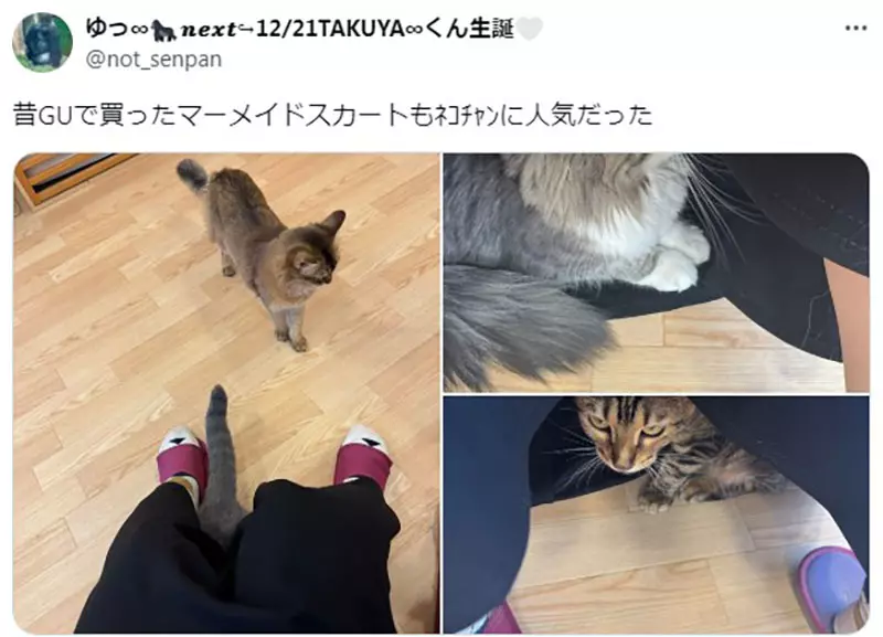 圖片7 圖片7