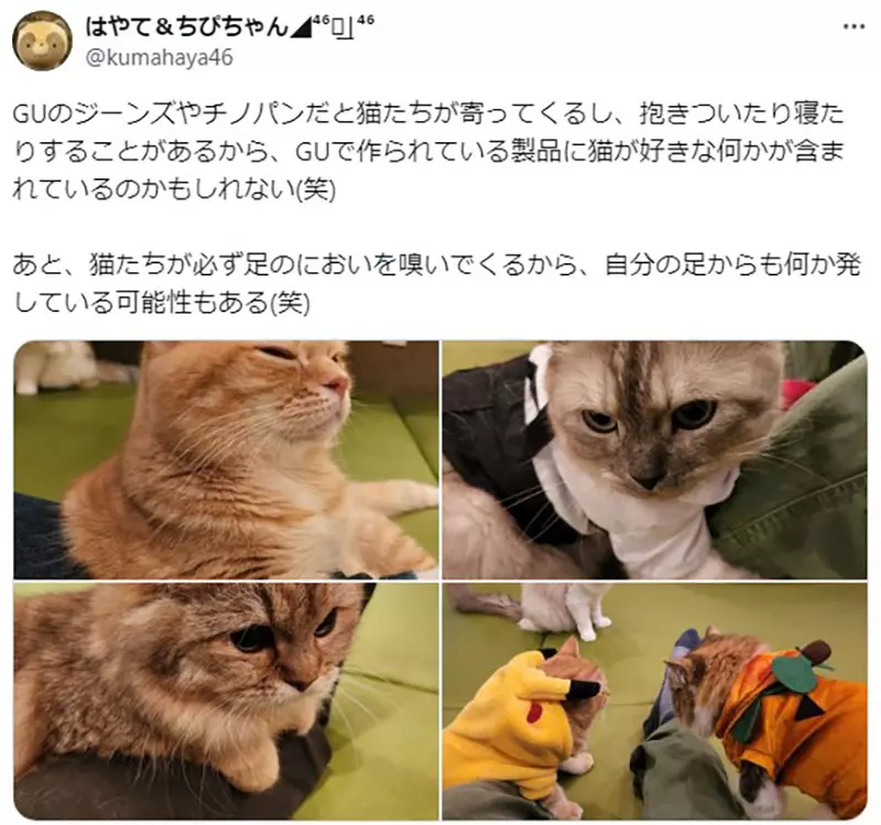 圖片8 圖片8