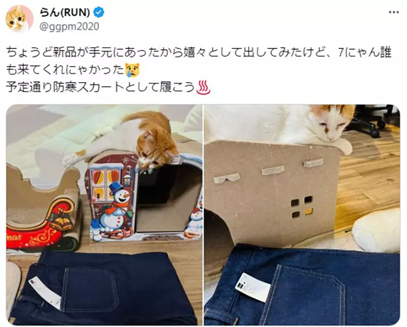 圖片9 圖片9