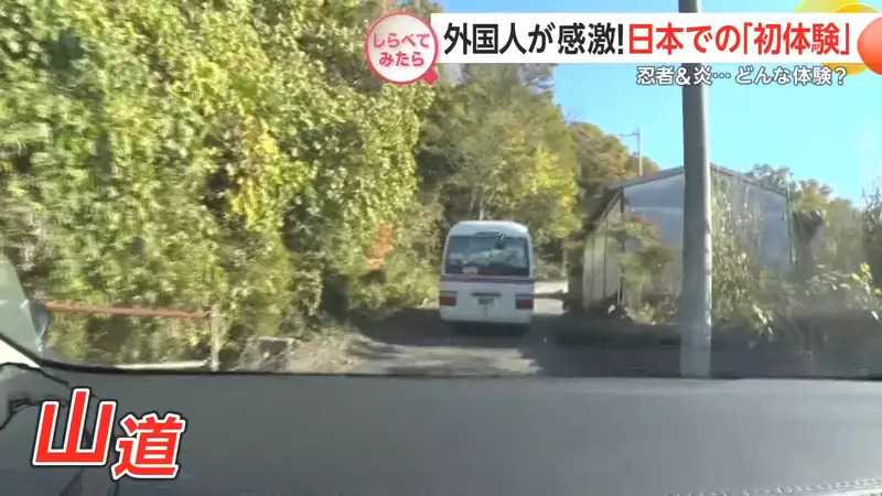 圖片5 圖片5