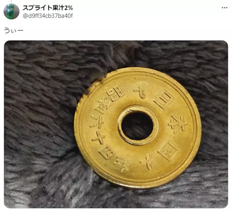 圖片15 圖片15