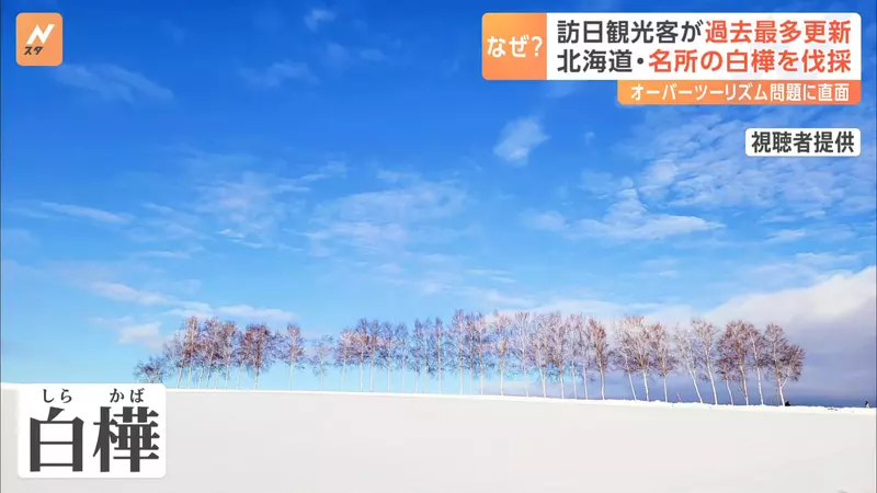 圖片6 圖片6
