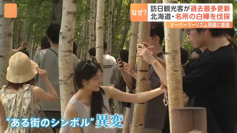 圖片5 圖片5