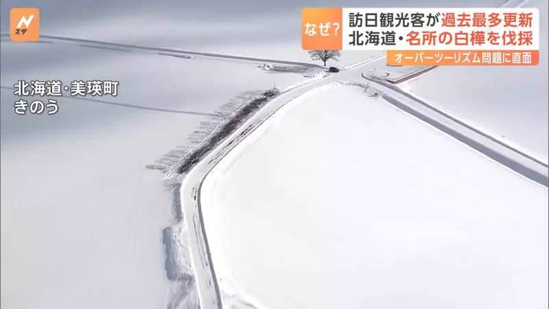 圖片7 圖片7