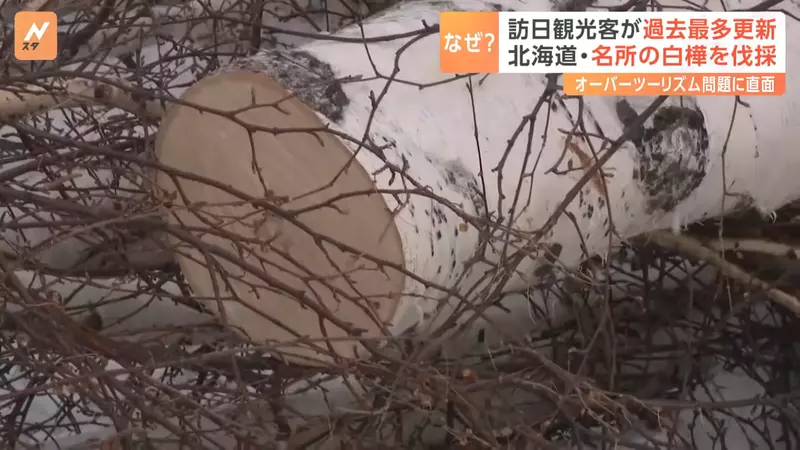 圖片9 圖片9