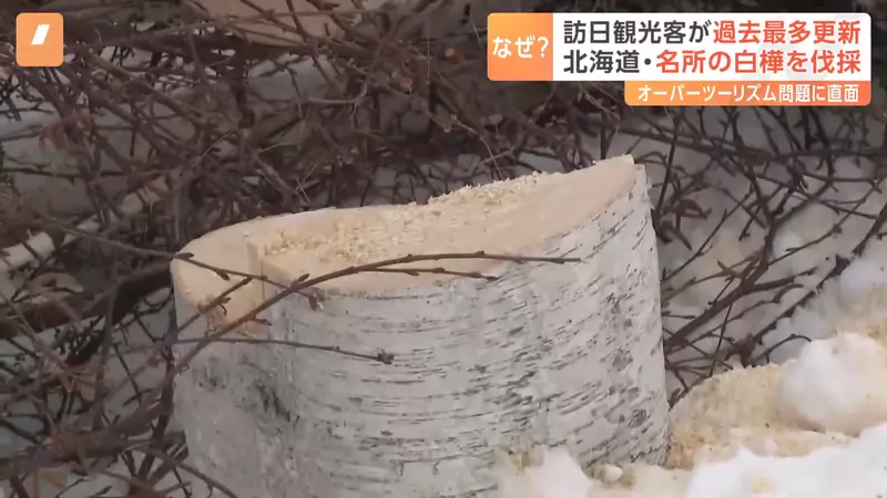 圖片10 圖片10
