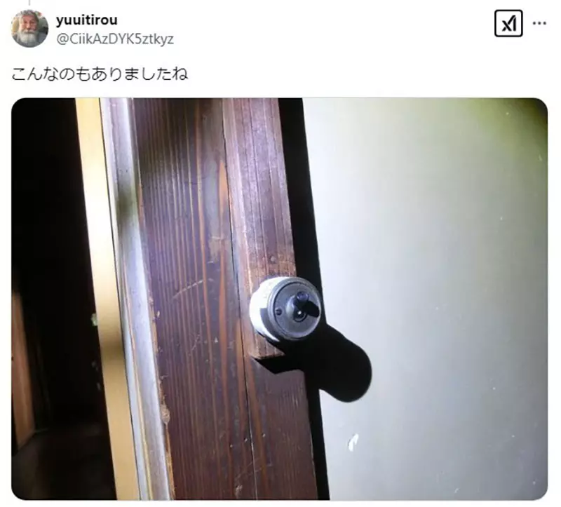 圖片19 圖片19