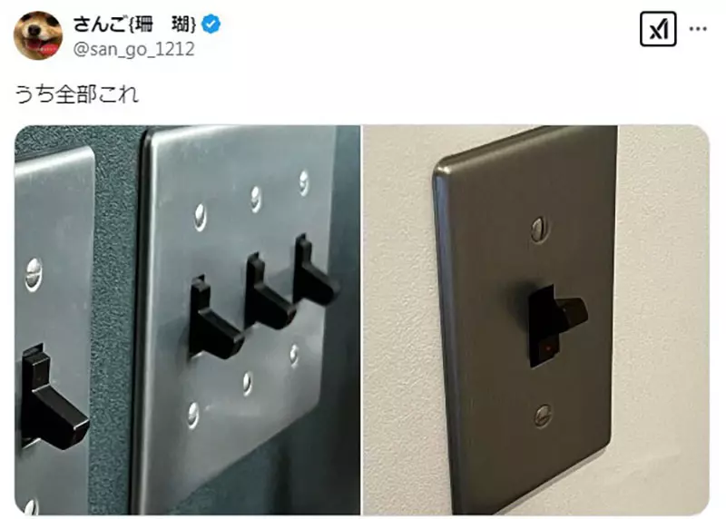 圖片5 圖片5