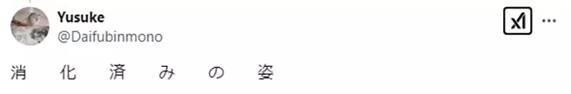 图片11