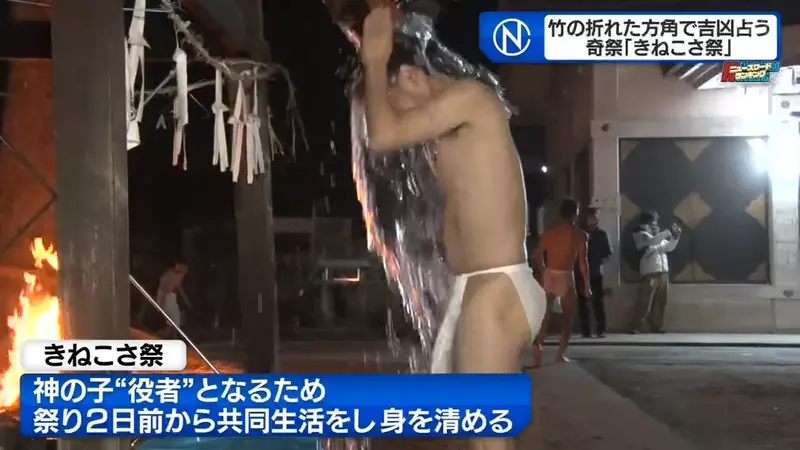 圖片11 圖片11