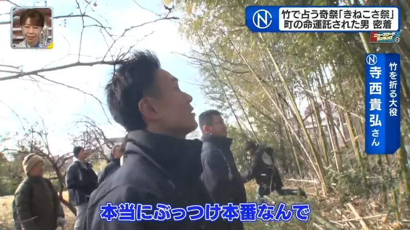 圖片15 圖片15