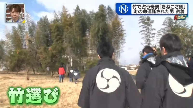 圖片14 圖片14