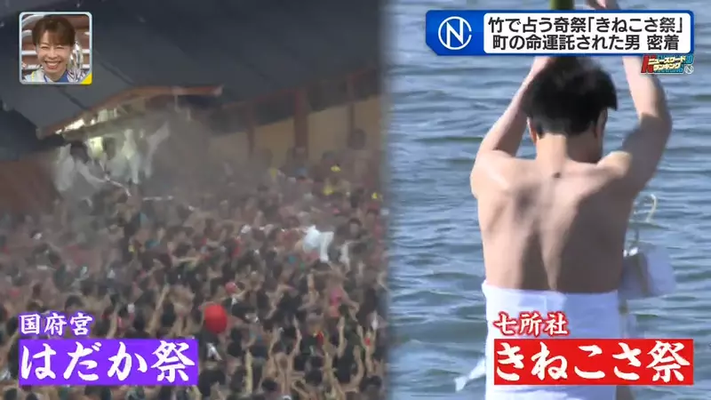 圖片33 圖片33
