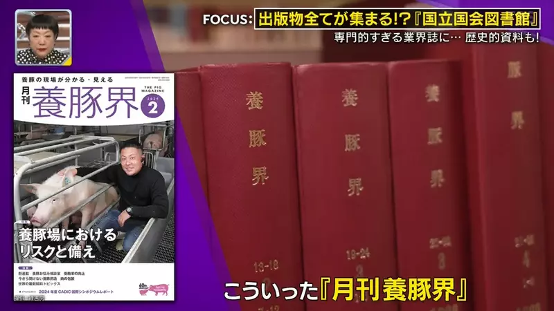 圖片34 圖片34