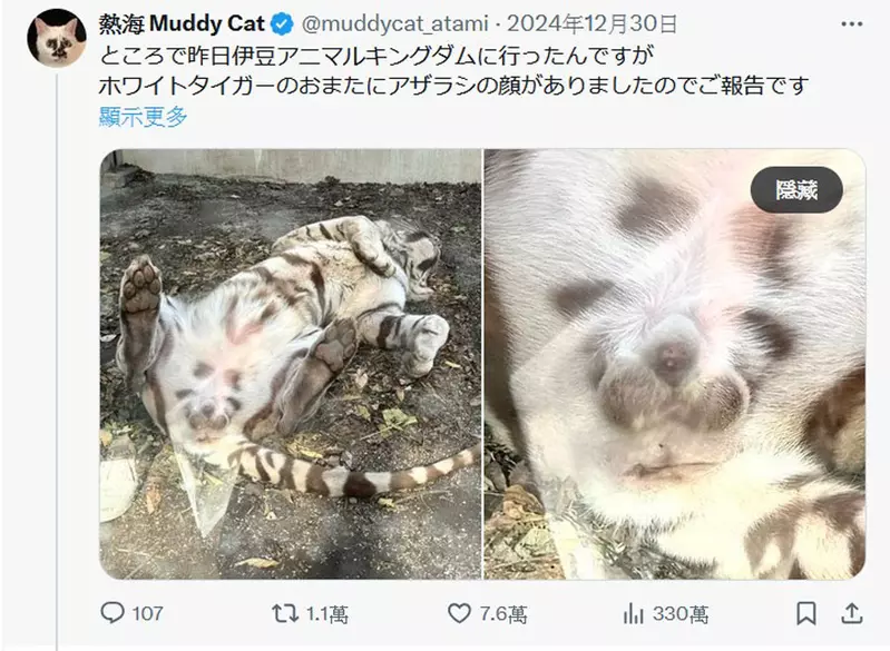 圖片4 圖片4
