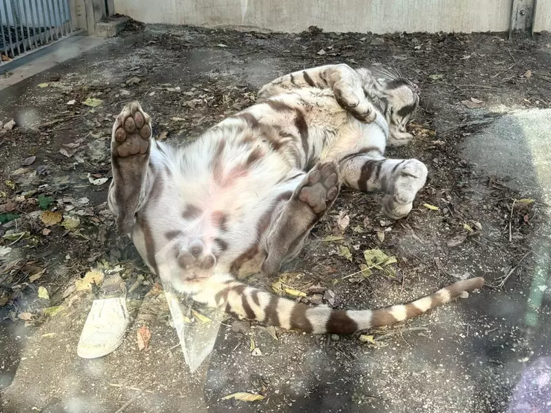 圖片5 圖片5