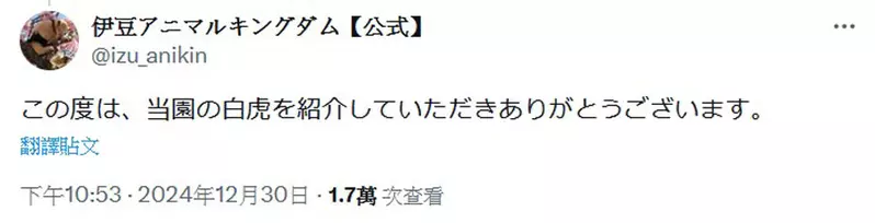 圖片7 圖片7