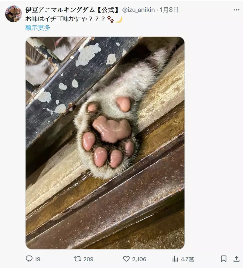 圖片8 圖片8