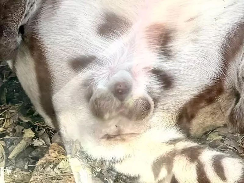 圖片6 圖片6