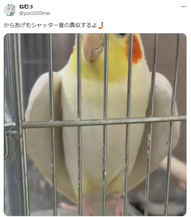 圖片5 圖片5