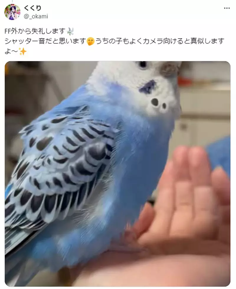 圖片4 圖片4