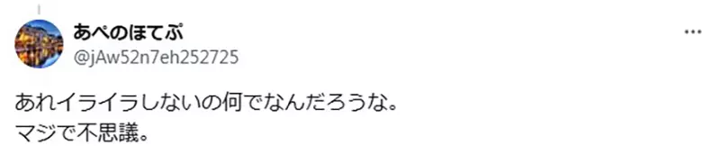 圖片5 圖片5