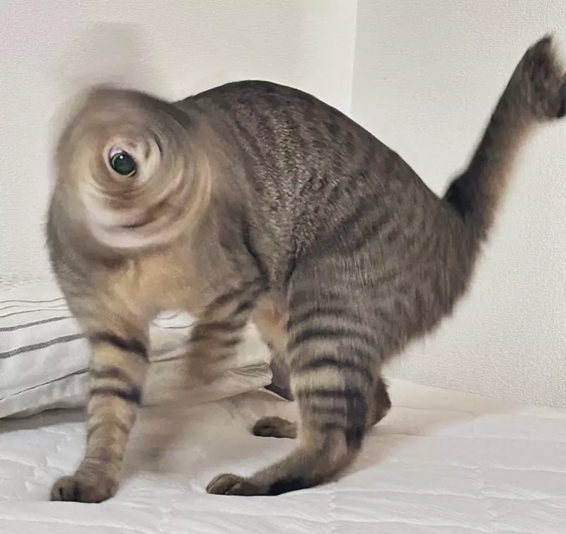 圖片3