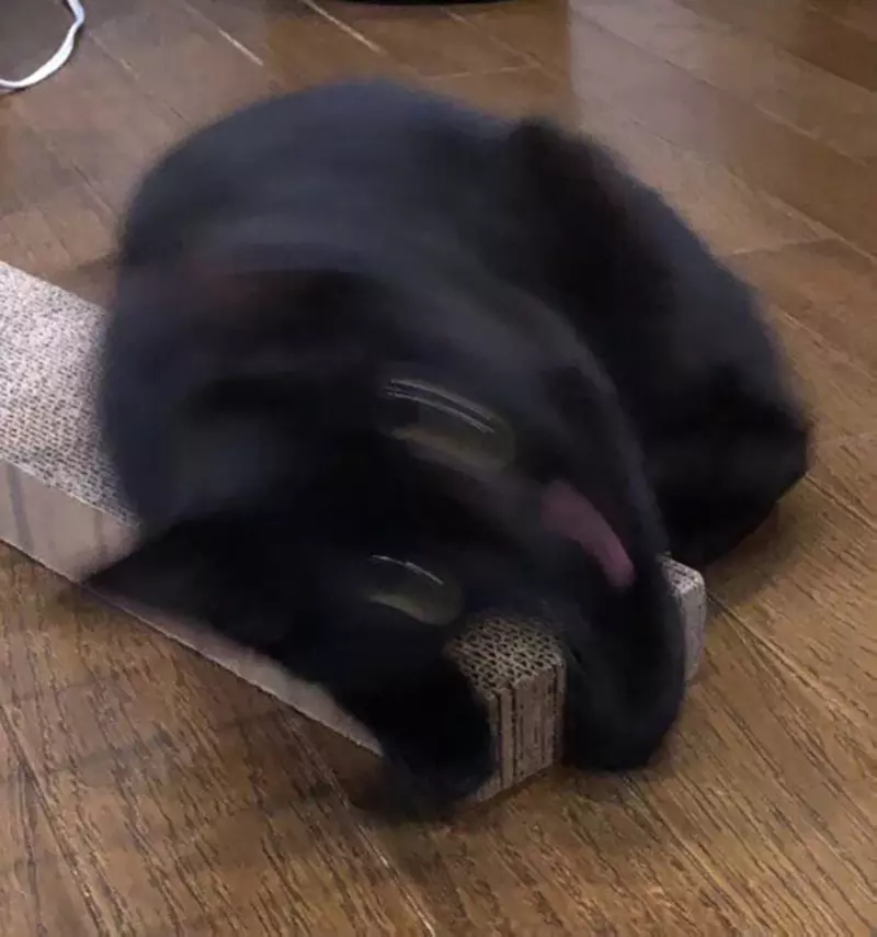 圖片5 圖片5