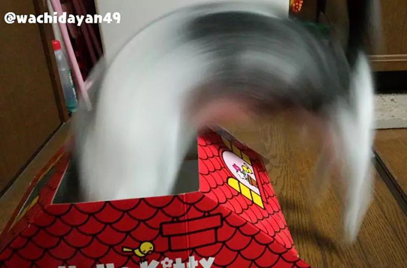 圖片8 圖片8