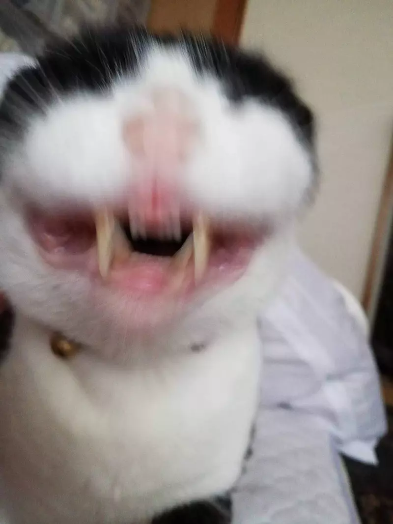 圖片11 圖片11