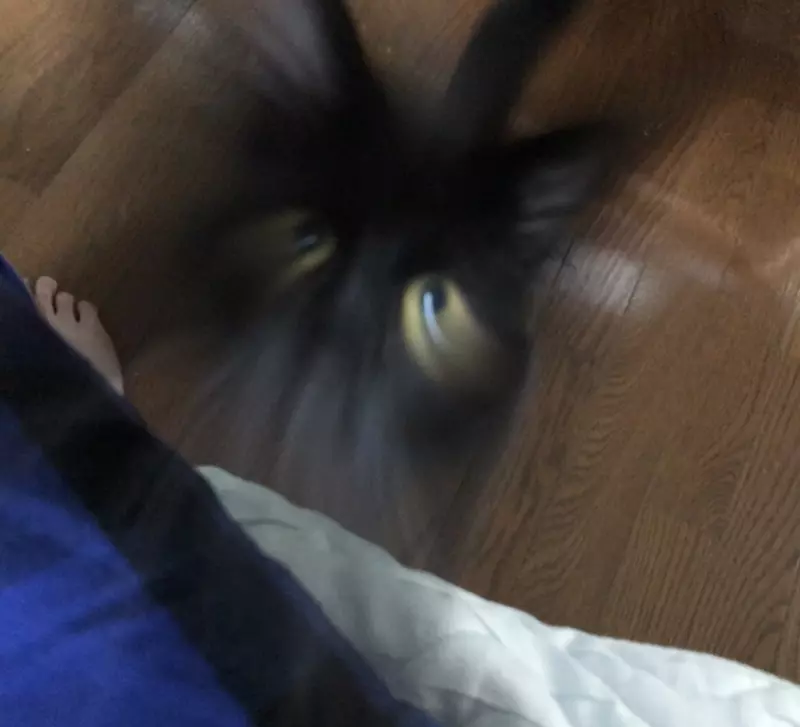 圖片14 圖片14