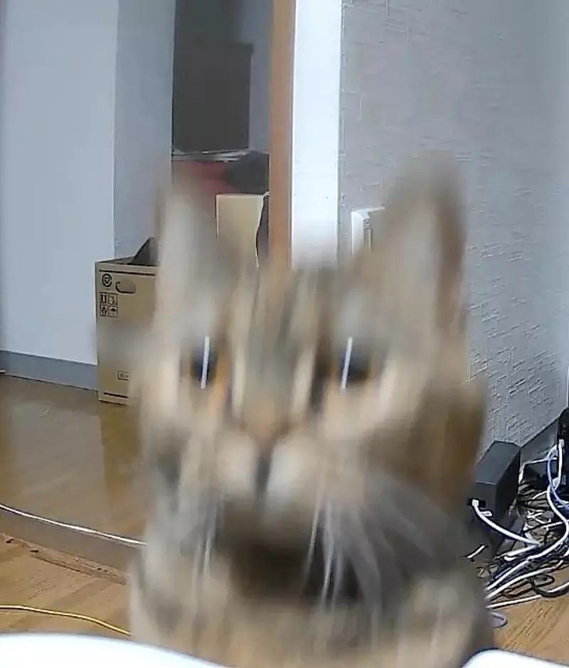 圖片12 圖片12
