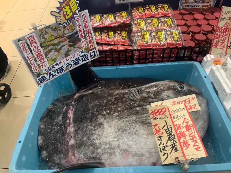 圖片23 圖片23