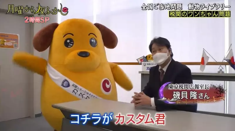 圖片4 圖片4