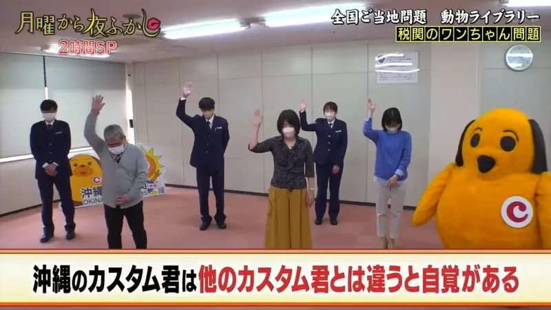 圖片13 圖片13