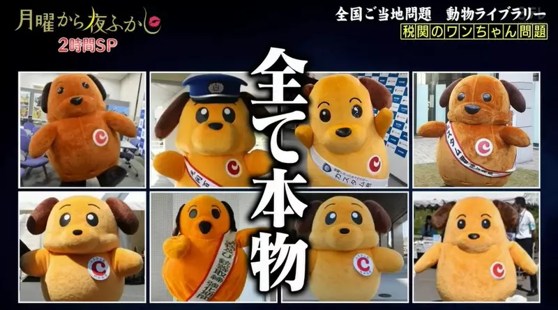 圖片14 圖片14